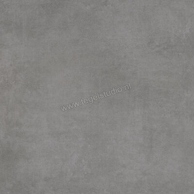  Ariostea Next Dark 60x60 cm Vloertegel / Wandtegel Mat Vlak Natural Plus P6631 | 402087