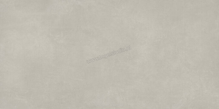  Ariostea Next Grey 60x120 cm Vloertegel / Wandtegel Mat Vlak Natural Plus P612633 | 402156