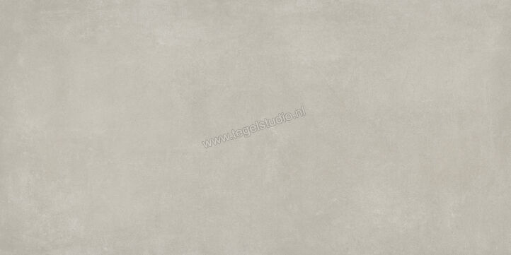  Ariostea Next Grey 60x120 cm Vloertegel / Wandtegel Mat Vlak Natural Plus P612633 | 402162