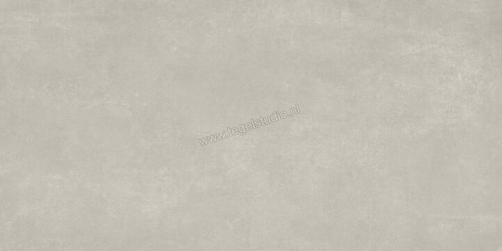  Ariostea Next Grey 60x120 cm Vloertegel / Wandtegel Mat Vlak Natural Plus P612633 | 402165