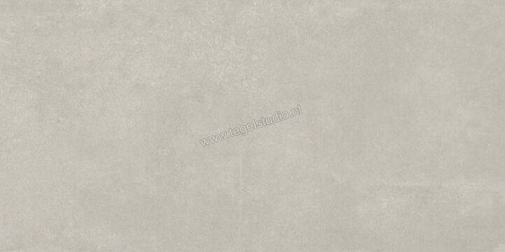  Ariostea Next Grey 30x60 cm Vloertegel / Wandtegel Mat Vlak Natural Plus P36633 | 402234