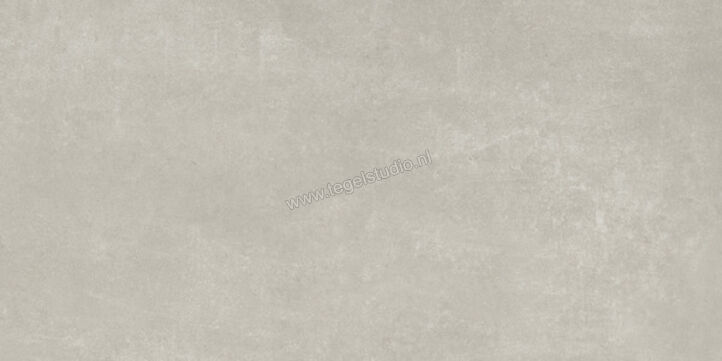 Ariostea Next Grey 30x60 cm Vloertegel / Wandtegel Mat Vlak Natural Plus P36633 | 402237