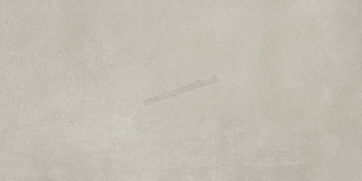  Ariostea Next Grey 30x60 cm Vloertegel / Wandtegel Mat Vlak Natural Plus P36633 | 402246