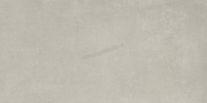  Ariostea Next Grey 30x60 cm Vloertegel / Wandtegel Mat Vlak Natural Plus P36633 | 402249