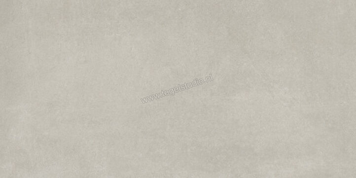  Ariostea Next Grey 30x60 cm Vloertegel / Wandtegel Mat Vlak Natural Plus P36633 | 402252