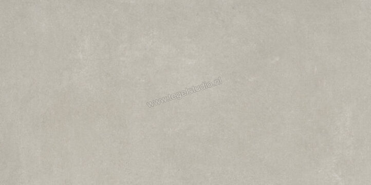  Ariostea Next Grey 30x60 cm Vloertegel / Wandtegel Mat Vlak Natural Plus P36633 | 402255