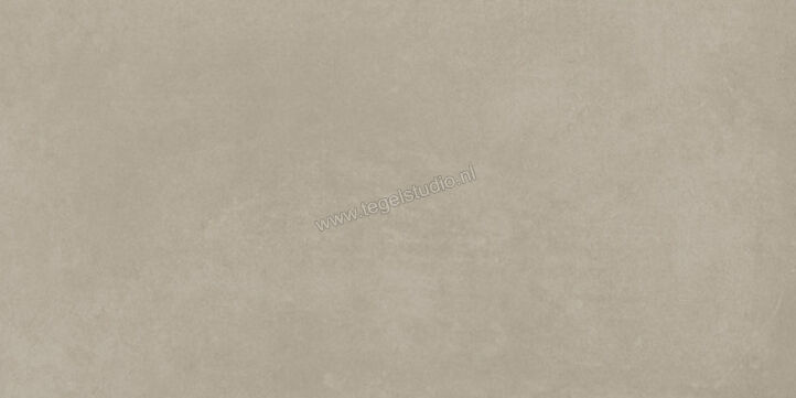  Ariostea Next Greige 30x60 cm Vloertegel / Wandtegel Mat Vlak Natural Plus P36632 | 402258