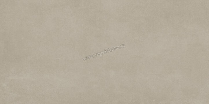  Ariostea Next Greige 30x60 cm Vloertegel / Wandtegel Mat Vlak Natural Plus P36632 | 402264