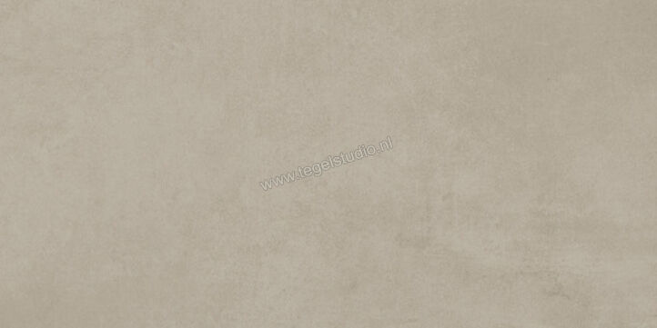  Ariostea Next Greige 30x60 cm Vloertegel / Wandtegel Mat Vlak Natural Plus P36632 | 402270