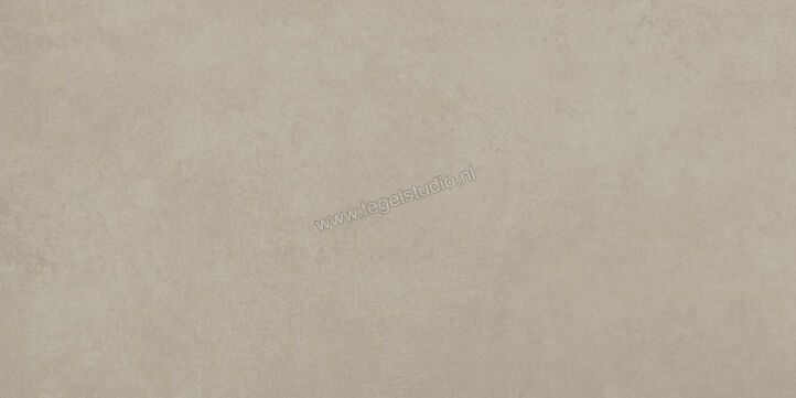  Ariostea Next Greige 30x60 cm Vloertegel / Wandtegel Mat Vlak Natural Plus P36632 | 402276