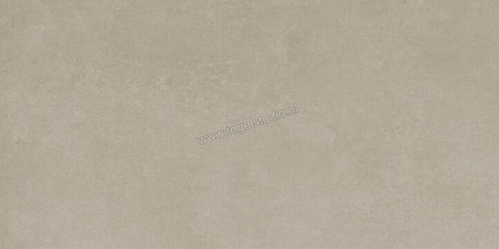  Ariostea Next Greige 30x60 cm Vloertegel / Wandtegel Mat Vlak Natural Plus P36632 | 402279