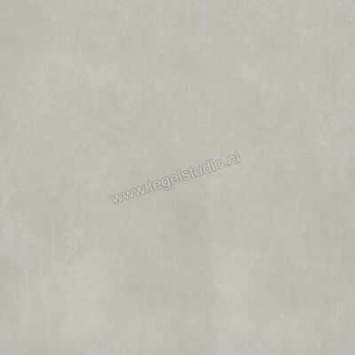  Ariostea Next Grey 100x100 cm Vloertegel / Wandtegel Mat Vlak Natural Plus P100633 | 402378