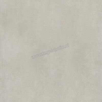  Ariostea Next Grey 100x100 cm Vloertegel / Wandtegel Mat Vlak Natural Plus P100633 | 402381