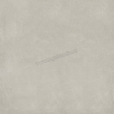  Ariostea Next Grey 100x100 cm Vloertegel / Wandtegel Mat Vlak Natural Plus P100633 | 402384
