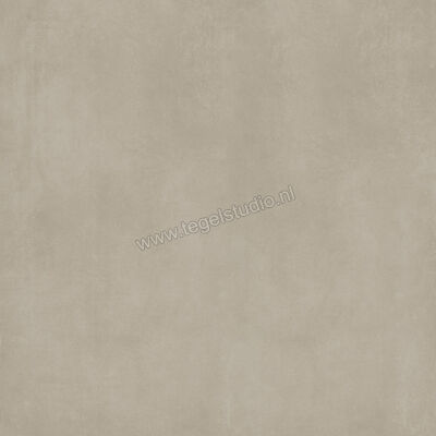  Ariostea Next CM2 Outdoor Greige 100x100x2 cm Terrastegel Mat Vlak Antislip PMS100632 | 402402