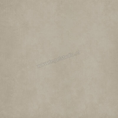  Ariostea Next CM2 Outdoor Greige 100x100x2 cm Terrastegel Mat Vlak Antislip PMS100632 | 402405