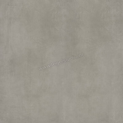  Ariostea Next CM2 Outdoor Crete 100x100x2 cm Terrastegel Mat Vlak Antislip PMS100630 | 402426