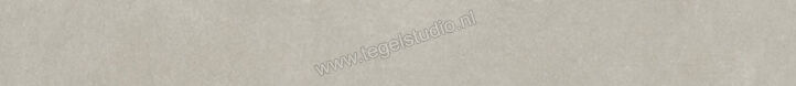  Ariostea Next Grey 6.5x60 cm Plint Mat Vlak Natural Plus B60633T | 402459
