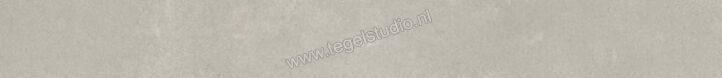  Ariostea Next Grey 6.5x60 cm Plint Mat Vlak Natural Plus B60633T | 402462
