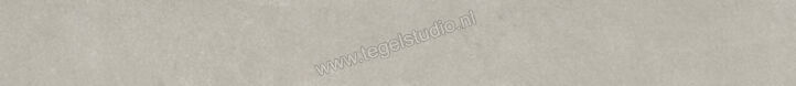  Ariostea Next Grey 6.5x60 cm Plint Mat Vlak Natural Plus B60633T | 402465