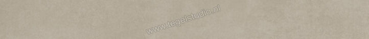  Ariostea Next Greige 6.5x60 cm Plint Mat Vlak Natural Plus B60632T | 402468