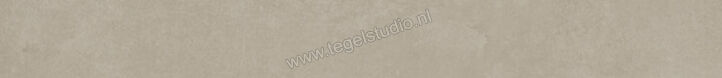  Ariostea Next Greige 6.5x60 cm Plint Mat Vlak Natural Plus B60632T | 402471