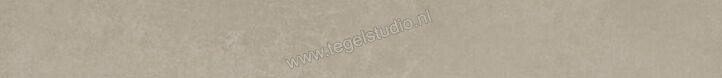  Ariostea Next Greige 6.5x60 cm Plint Mat Vlak Natural Plus B60632T | 402474