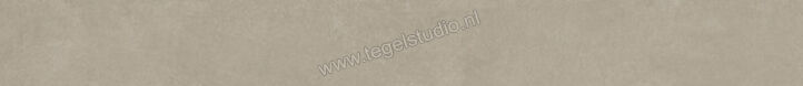 Ariostea Next Greige 6.5x60 cm Plint Mat Vlak Natural Plus B60632T | 402477