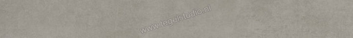  Ariostea Next Crete 6.5x60 cm Plint Mat Vlak Natural Plus B60630T | 402492