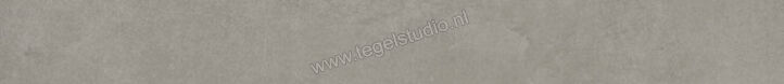  Ariostea Next Crete 6.5x60 cm Plint Mat Vlak Natural Plus B60630T | 402495