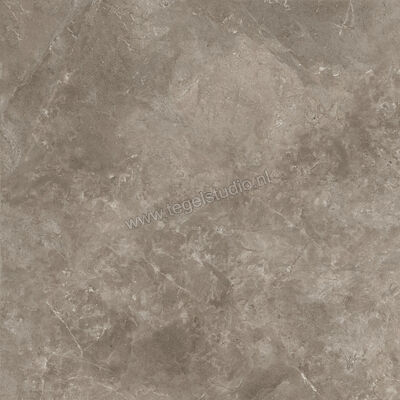  Ariostea Twin.s Dove 100x100 cm Vloertegel / Wandtegel Mat Gestructureerd Naturale P100698R10 | 402588