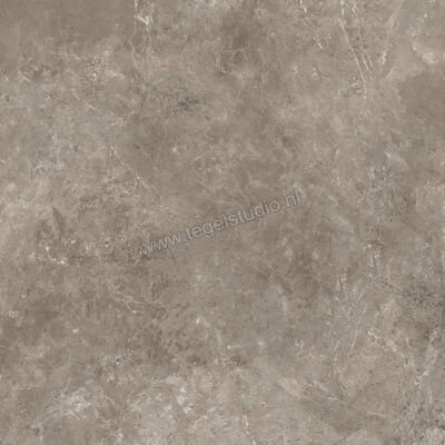  Ariostea Twin.s Dove 100x100 cm Vloertegel / Wandtegel Mat Gestructureerd Soft P100698 | 402591