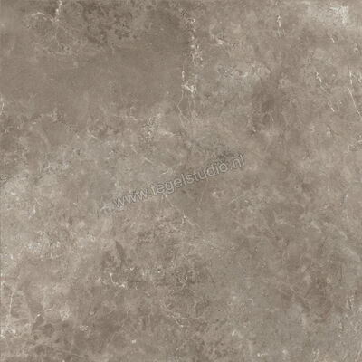  Ariostea Twin.s Dove 100x100 cm Vloertegel / Wandtegel Mat Gestructureerd Soft P100698 | 402594