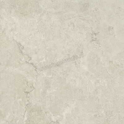  Ariostea Portland CM2 Outdoor White 100x100x2 cm Terrastegel Mat Gestructureerd Antislip PMS100710 | 402732