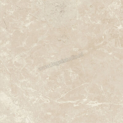 Ariostea Twin.s Anise 60x60 cm Vloertegel / Wandtegel Mat Gestructureerd Soft P6700 | 403146