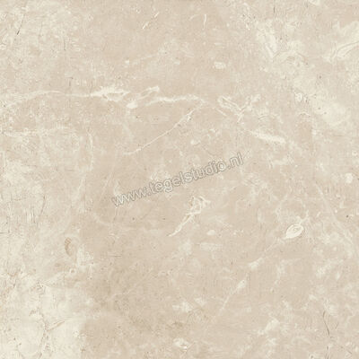  Ariostea Twin.s Anise 60x60 cm Vloertegel / Wandtegel Mat Gestructureerd Soft P6700 | 403161
