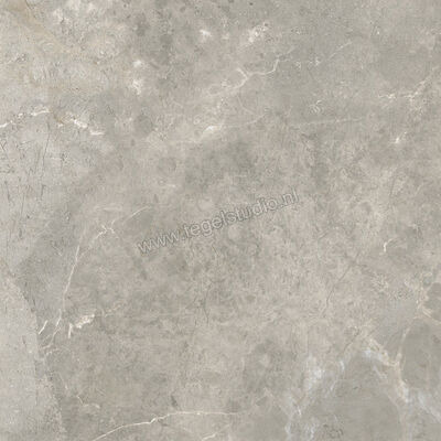  Ariostea Twin.s Steam 60x60 cm Vloertegel / Wandtegel Mat Gestructureerd Naturale P6699R10 | 403194