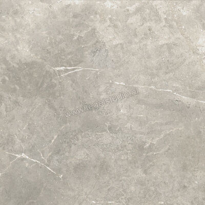  Ariostea Twin.s Steam 60x60 cm Vloertegel / Wandtegel Mat Gestructureerd Naturale P6699R10 | 403197