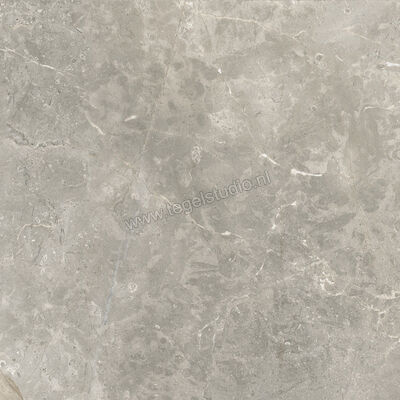  Ariostea Twin.s Steam 60x60 cm Vloertegel / Wandtegel Mat Gestructureerd Naturale P6699R10 | 403200