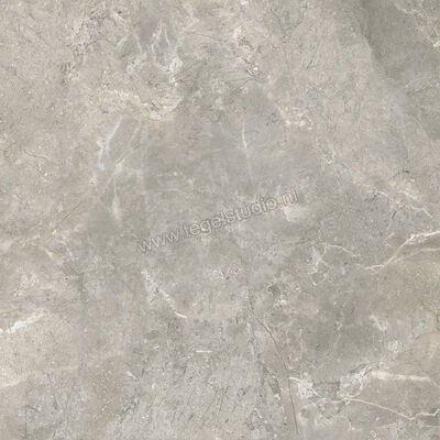  Ariostea Twin.s Steam 60x60 cm Vloertegel / Wandtegel Mat Gestructureerd Naturale P6699R10 | 403203