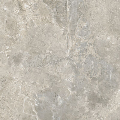  Ariostea Twin.s Steam 60x60 cm Vloertegel / Wandtegel Mat Gestructureerd Naturale P6699R10 | 403206