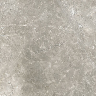  Ariostea Twin.s Steam 60x60 cm Vloertegel / Wandtegel Mat Gestructureerd Naturale P6699R10 | 403209