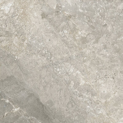  Ariostea Twin.s Steam 60x60 cm Vloertegel / Wandtegel Mat Gestructureerd Naturale P6699R10 | 403212