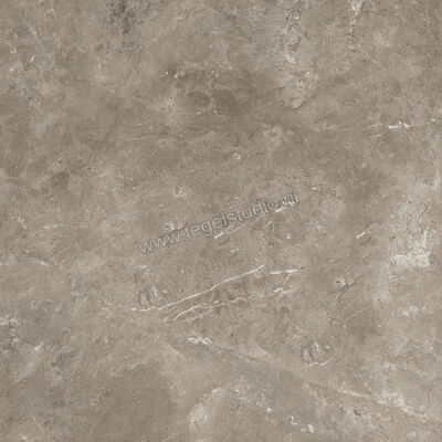  Ariostea Twin.s Dove 60x60 cm Vloertegel / Wandtegel Mat Gestructureerd Soft P6698 | 403239