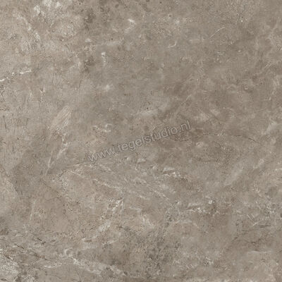  Ariostea Twin.s Dove 60x60 cm Vloertegel / Wandtegel Mat Gestructureerd Soft P6698 | 403242