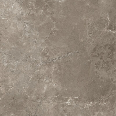  Ariostea Twin.s Dove 60x60 cm Vloertegel / Wandtegel Mat Gestructureerd Soft P6698 | 403245