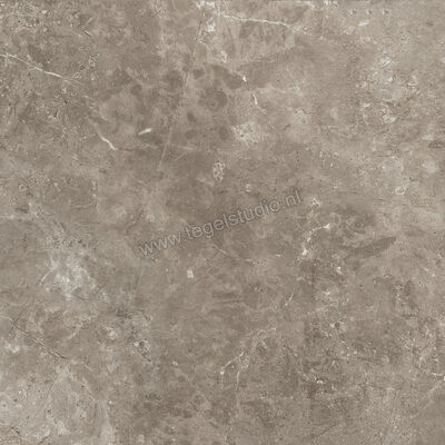  Ariostea Twin.s Dove 60x60 cm Vloertegel / Wandtegel Mat Gestructureerd Soft P6698 | 403248