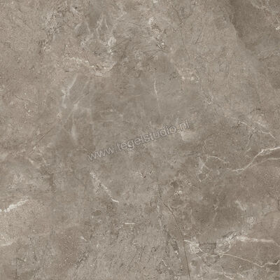  Ariostea Twin.s Dove 60x60 cm Vloertegel / Wandtegel Mat Gestructureerd Soft P6698 | 403251