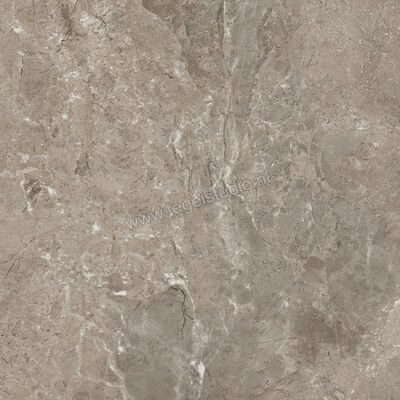  Ariostea Twin.s Dove 60x60 cm Vloertegel / Wandtegel Mat Gestructureerd Soft P6698 | 403254