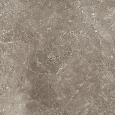  Ariostea Twin.s Dove 60x60 cm Vloertegel / Wandtegel Mat Gestructureerd Soft P6698 | 403257